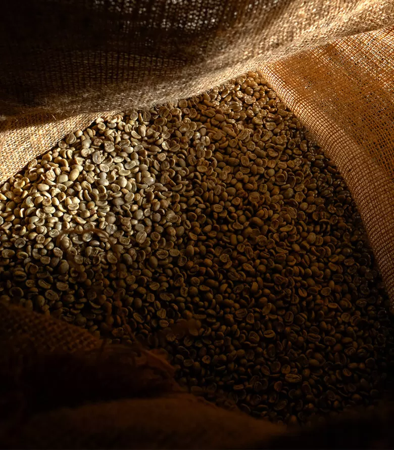 Caffè specialty monorigine. Spirit Of Coffee Italian Specialty Coffee