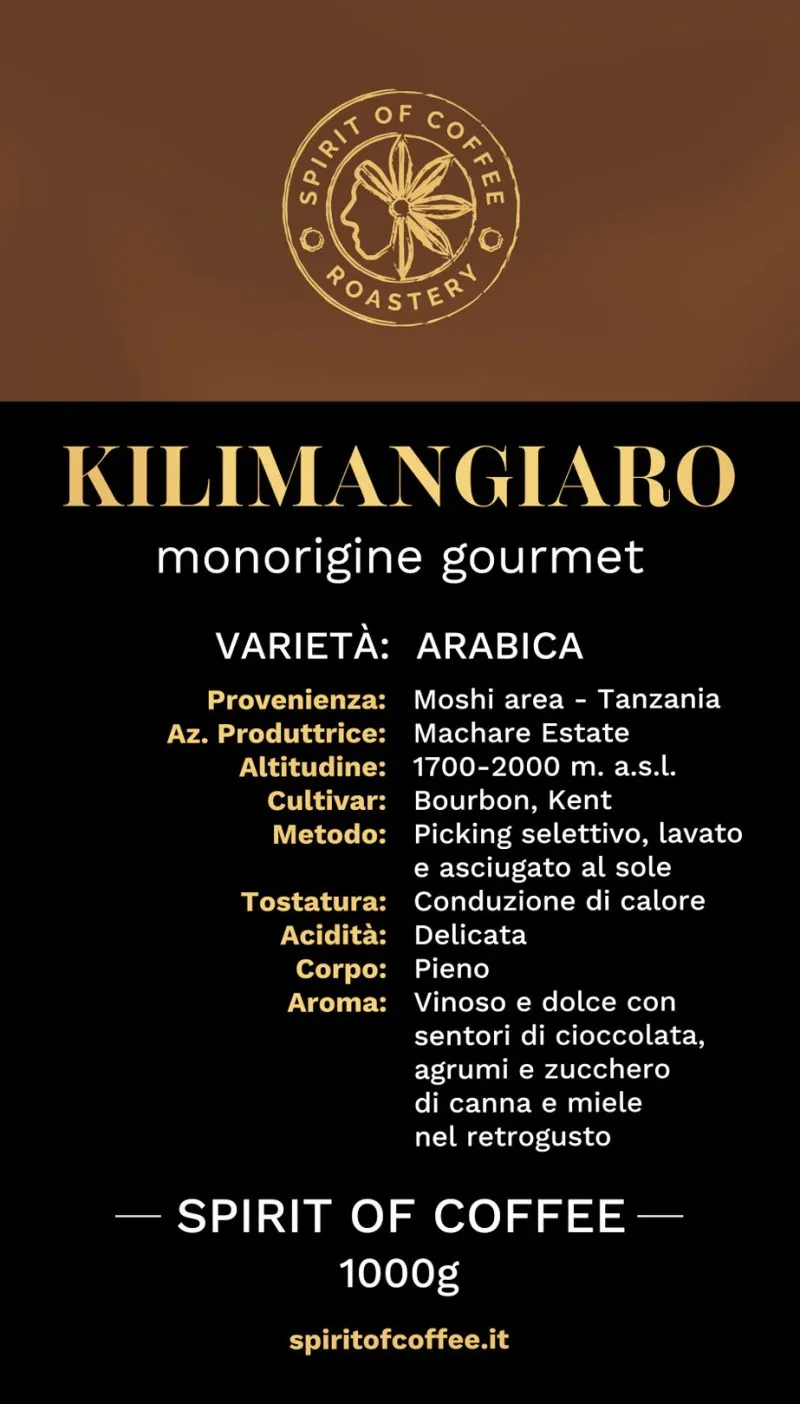 Kilimangiaro